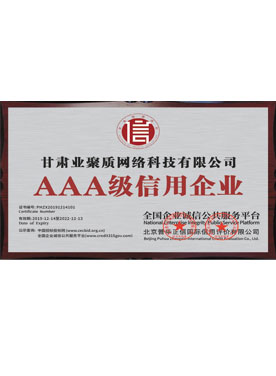 专注于网站建设和网络营销的兰州网络公司